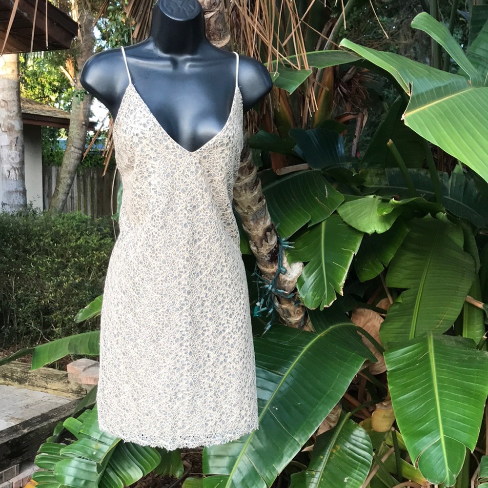 Zara lace slip dress